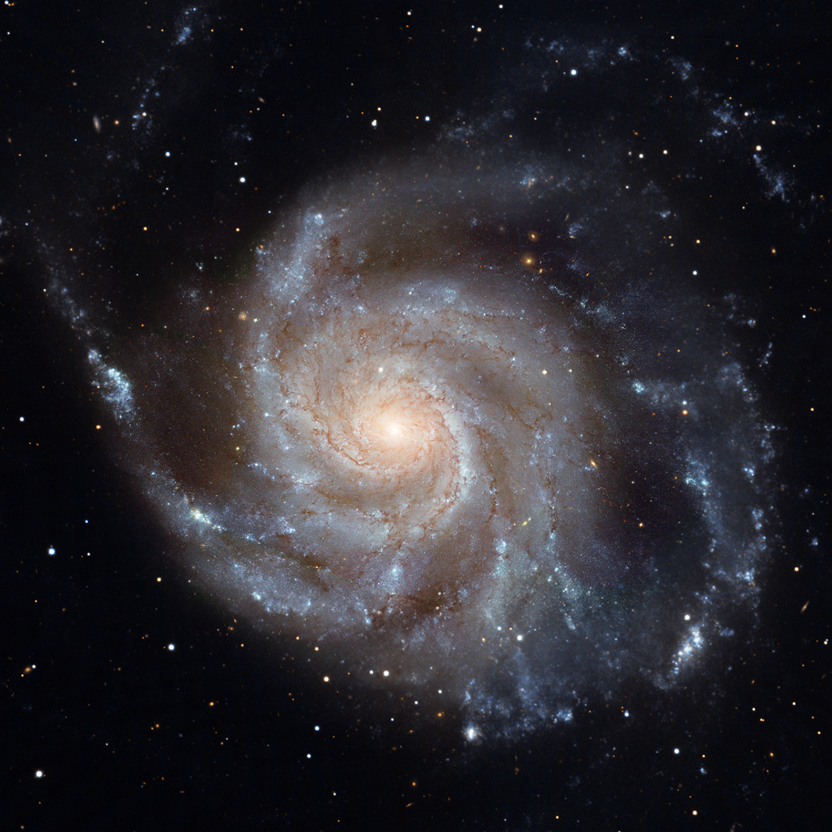 march-18-2019-pinwheel-galaxy.jpg