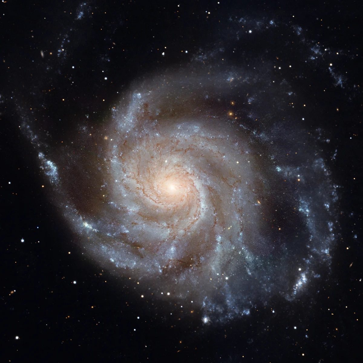 march-18-2019-pinwheel-galaxy.webp