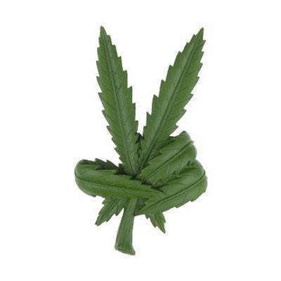 marijuana-leaf-pictures-images-amp-photos-photobucket.jpg