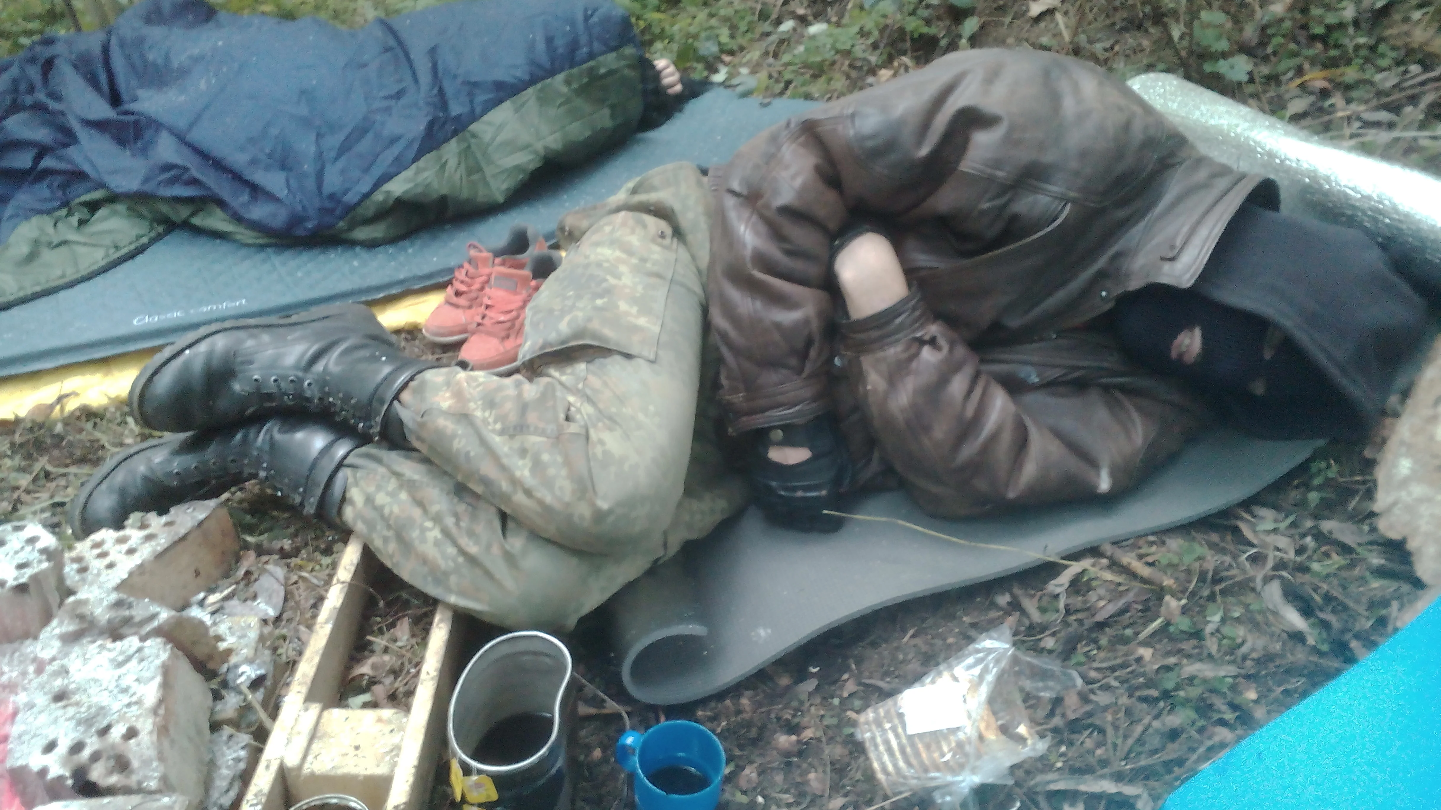 маслину поймал 3.webp