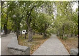 matrosskiy-park-v-feodosii-300x214.webp