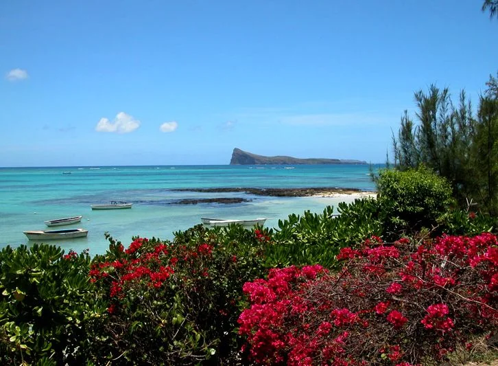 маврикий 5.webp