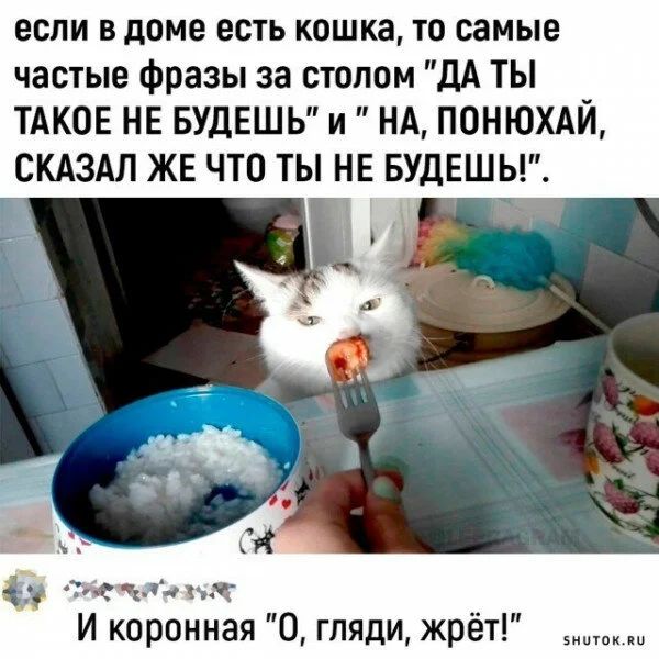 max_g360_c12_r1x1_pd20 (7).webp