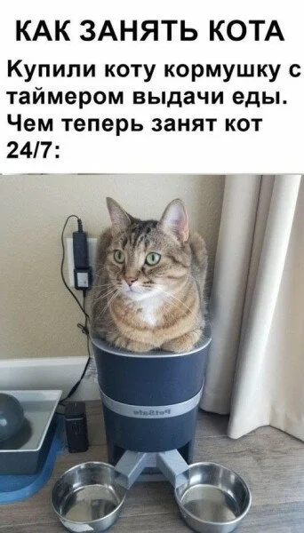 max_g360_c12_r2x3_pd20 (10).webp