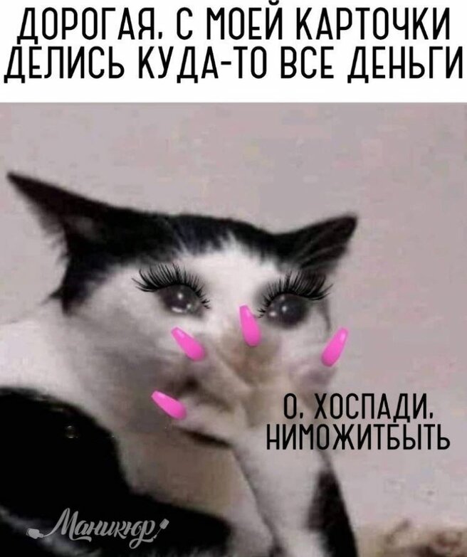 max_g360_c12_r3x4_pd20 (2).jpeg