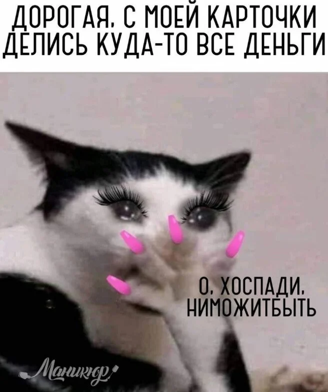 max_g360_c12_r3x4_pd20 (2).webp