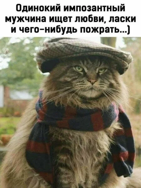 max_g360_c12_r3x4_pd20 - 2023-03-05T182354.640.webp