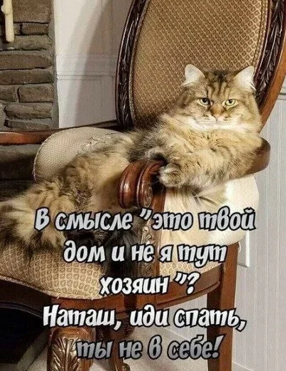 max_g360_c12_r3x4_pd20 - 2023-03-05T182615.112.webp