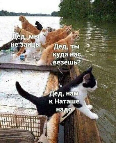 max_g360_c12_r3x4_pd20 (74).webp