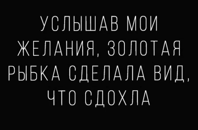 max_g360_c12_r4x3_pd20 (1).webp