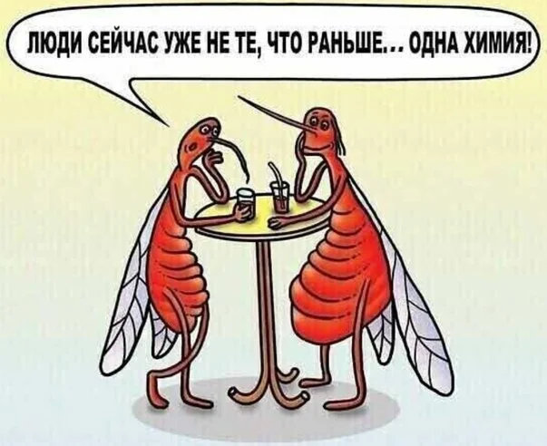 max_g360_c12_r4x3_pd20 (2).webp