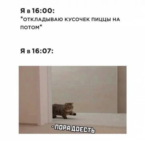 max_g360_c12_r4x3_pd20 (30).webp