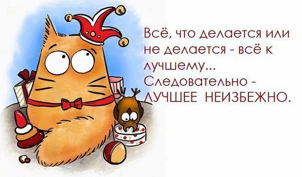 max_g360_c12_r4x3_pd20 (4).webp