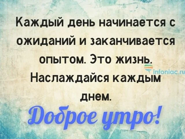 max_g480_c12_r2x3_pd20 (12).webp