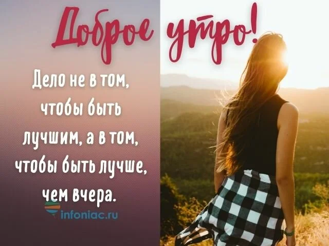 max_g480_c12_r2x3_pd20 (2).webp