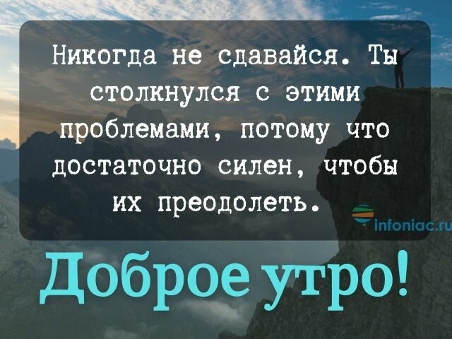 max_g480_c12_r2x3_pd20 (22).jpeg