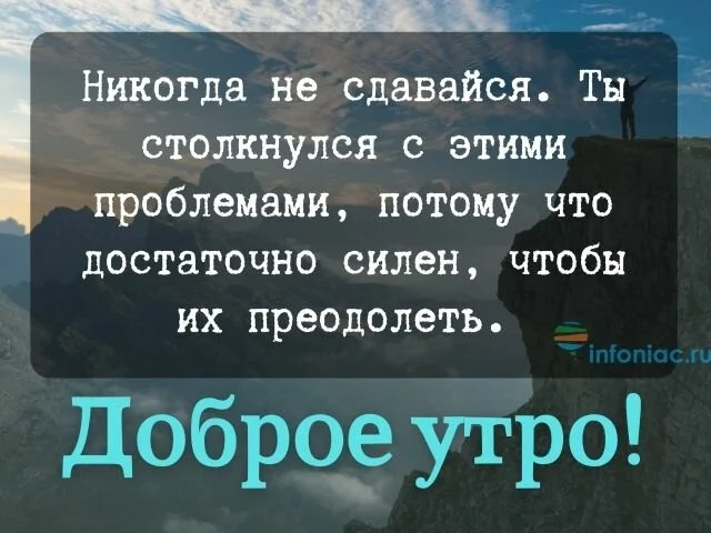 max_g480_c12_r2x3_pd20 (22).webp