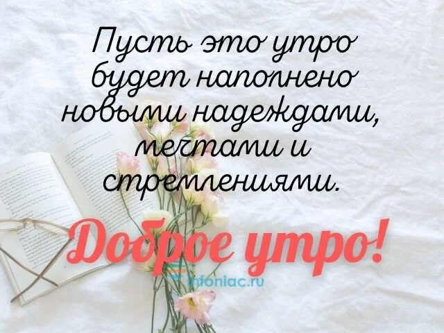 max_g480_c12_r2x3_pd20 (29).webp