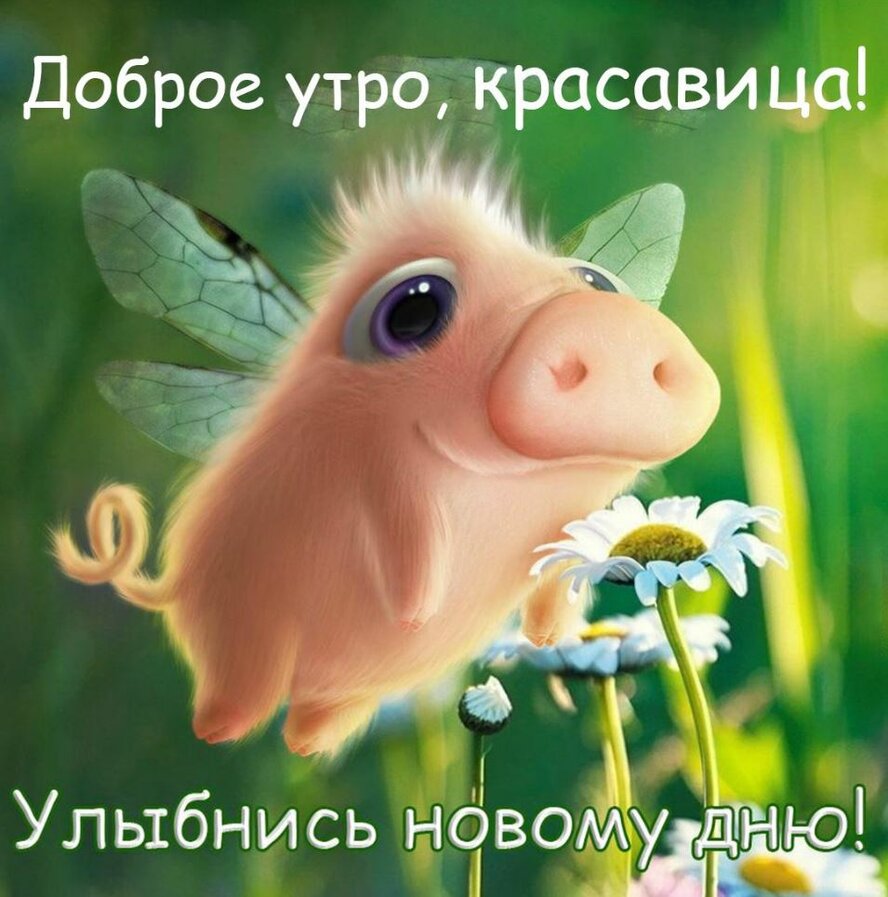 max_g480_c12_r3x4_pd20 (1).jpeg