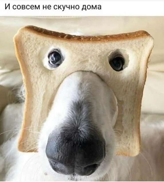 max_g480_c12_r3x4_pd20 (2).webp