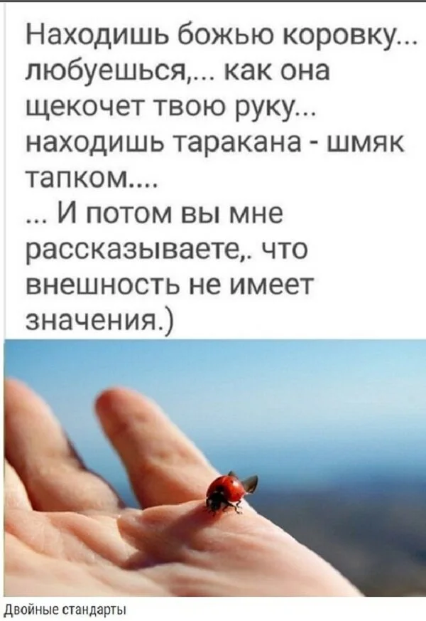 max_g480_c12_r3x4_pd20 (3).webp