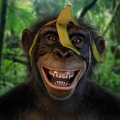 maxime-forveille-monkey-laugh.webp