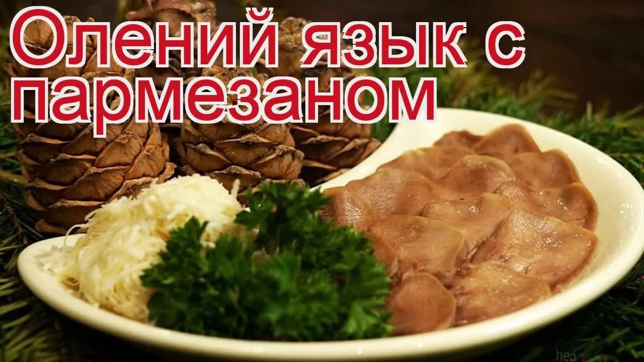 maxresdefault (1).webp