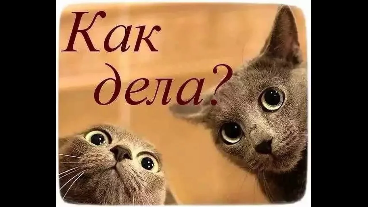 maxresdefault (1).webp