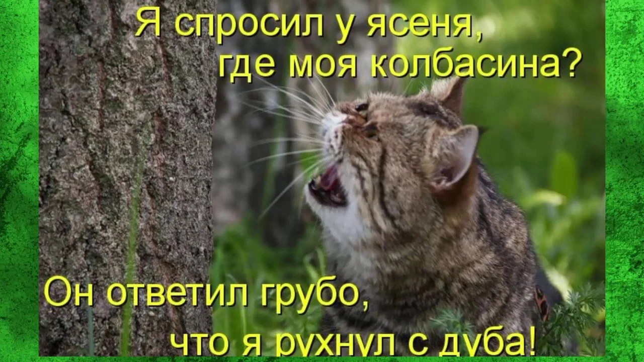 maxresdefault (1).webp