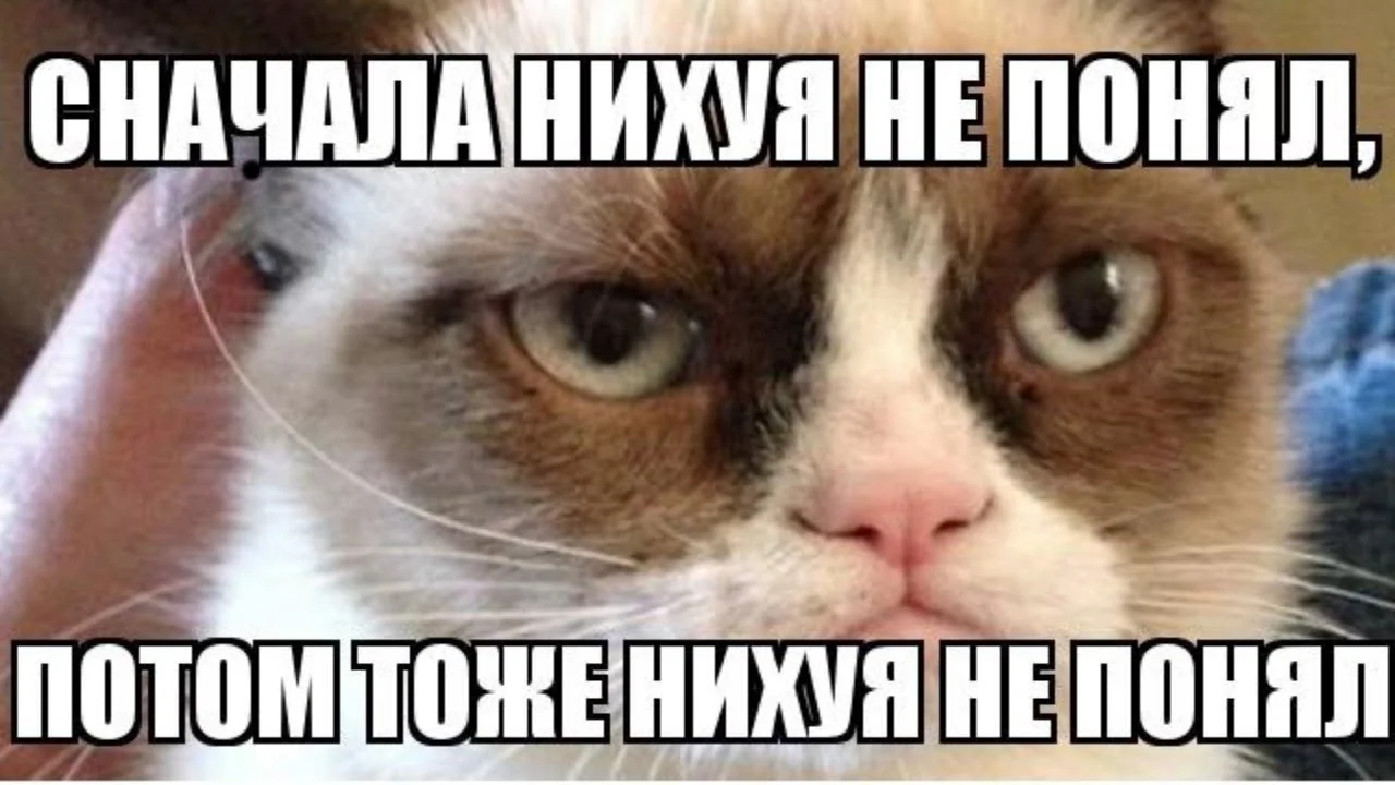 maxresdefault (1).webp