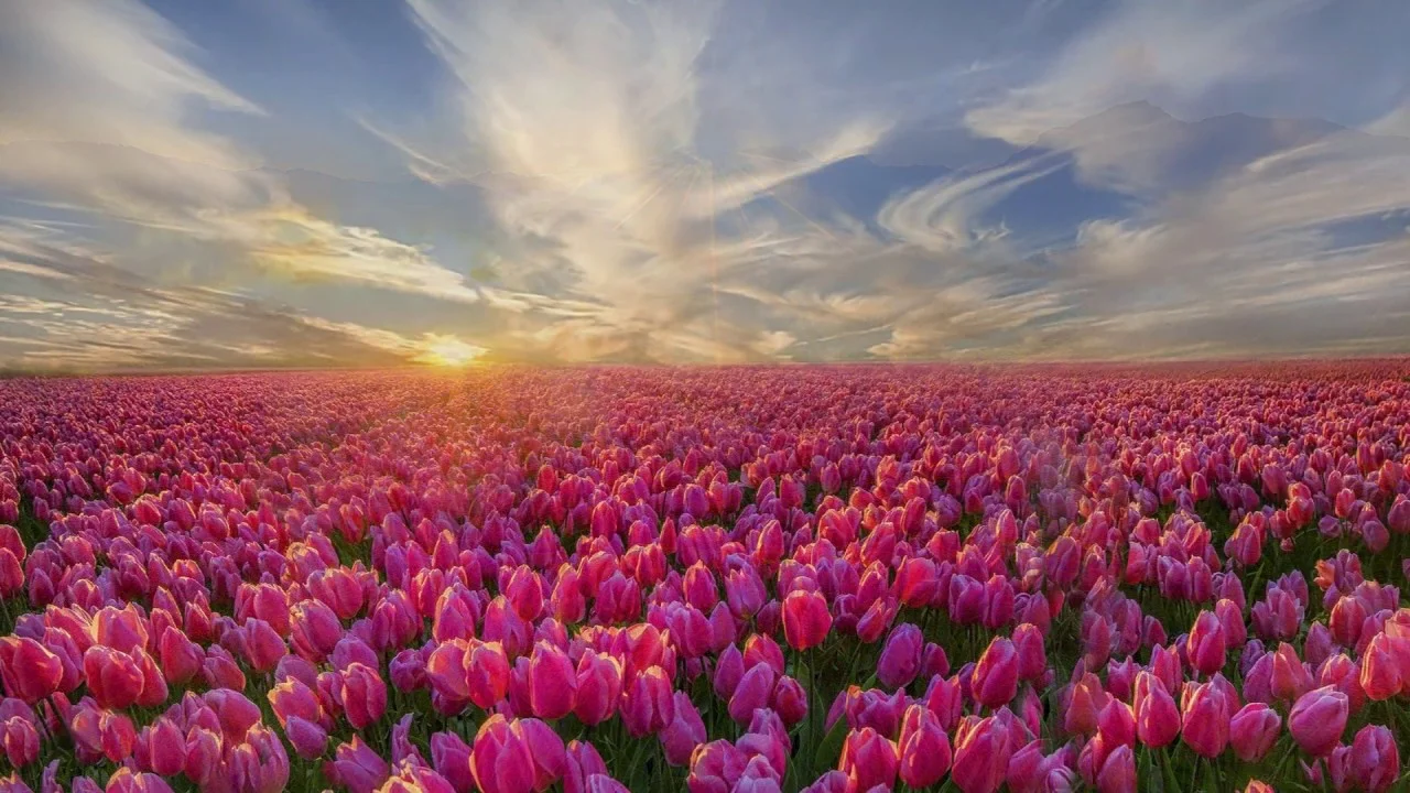 maxresdefault (1).webp