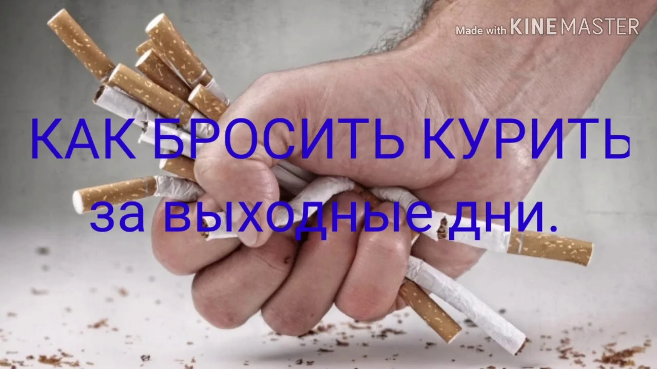 maxresdefault (1).webp