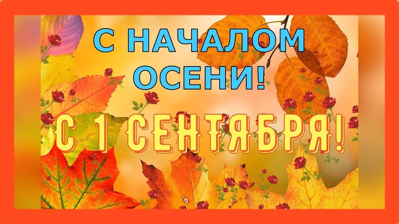 maxresdefault (1).webp