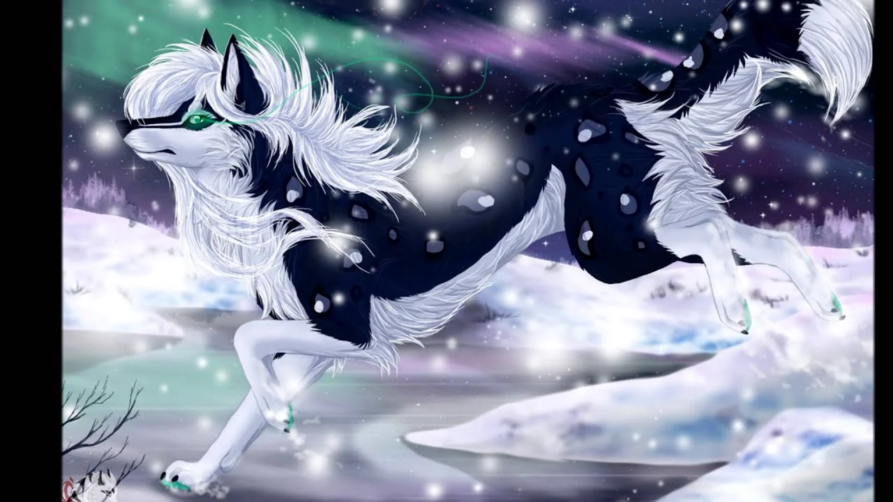 maxresdefault (1).webp