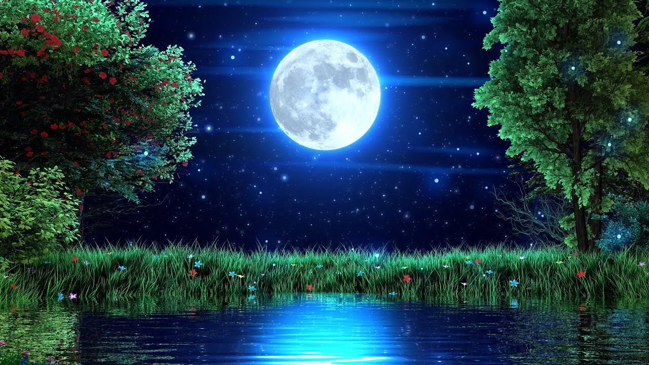 maxresdefault (1).webp