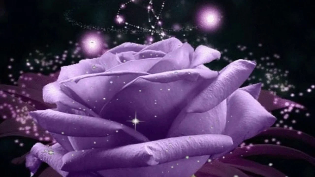 maxresdefault (1).webp