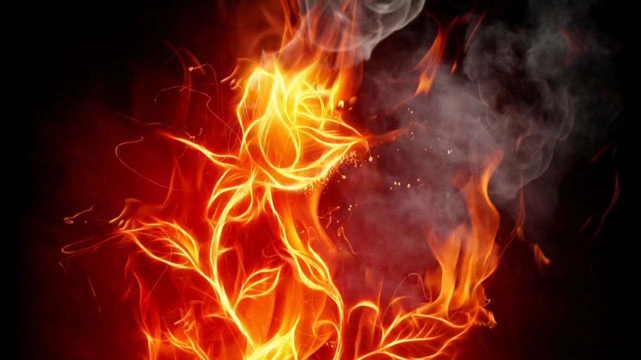 maxresdefault (1).webp