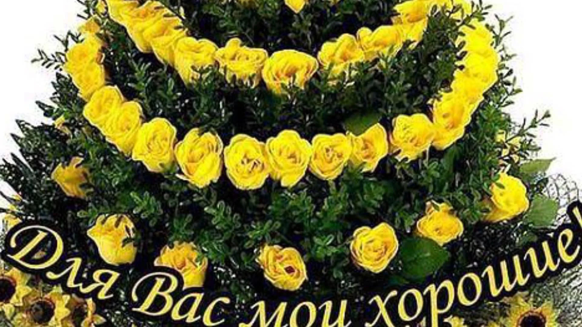 maxresdefault (1).webp