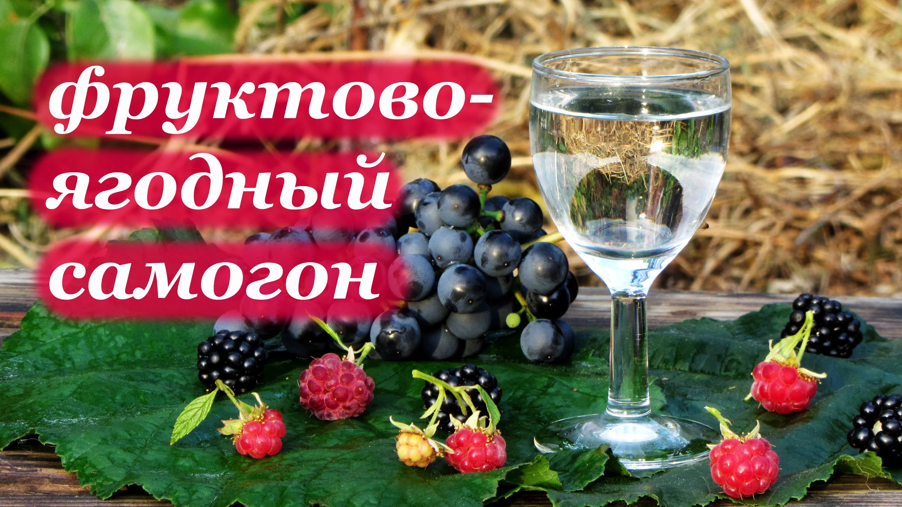 maxresdefault (1).webp