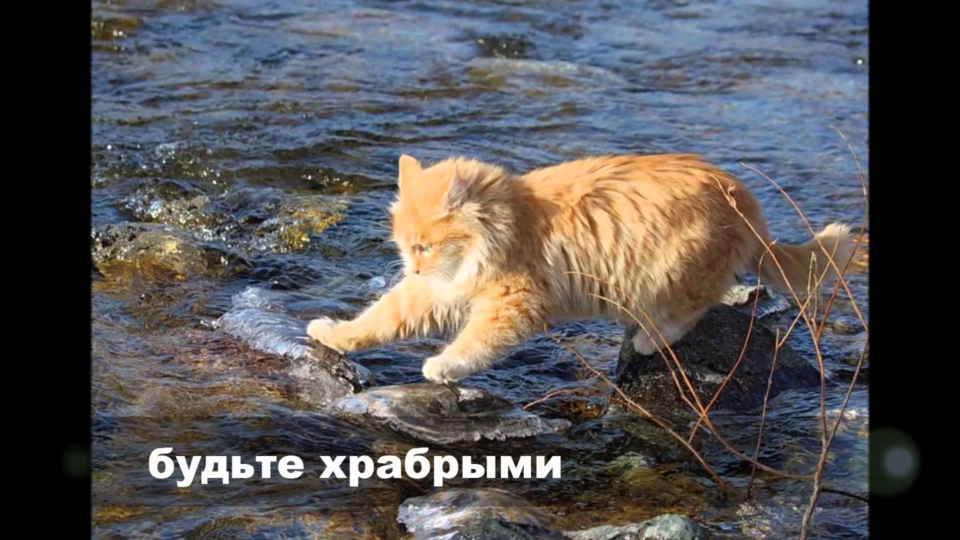 maxresdefault (1).webp