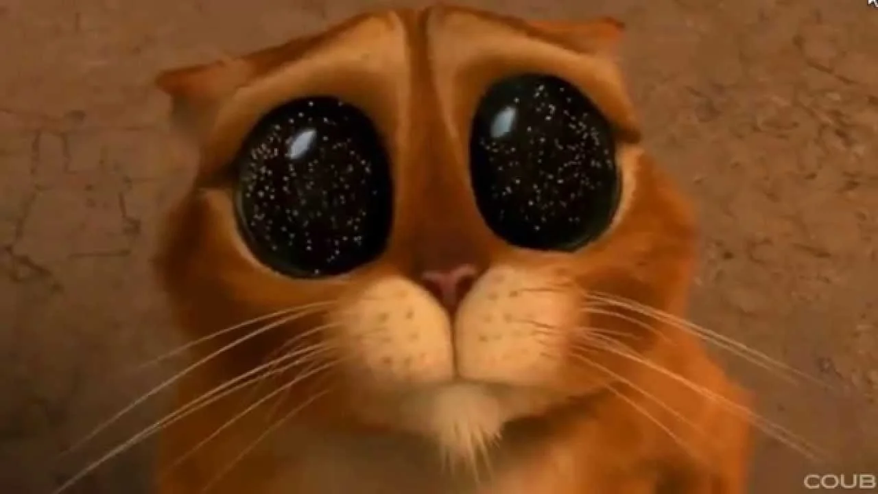 maxresdefault (1).webp