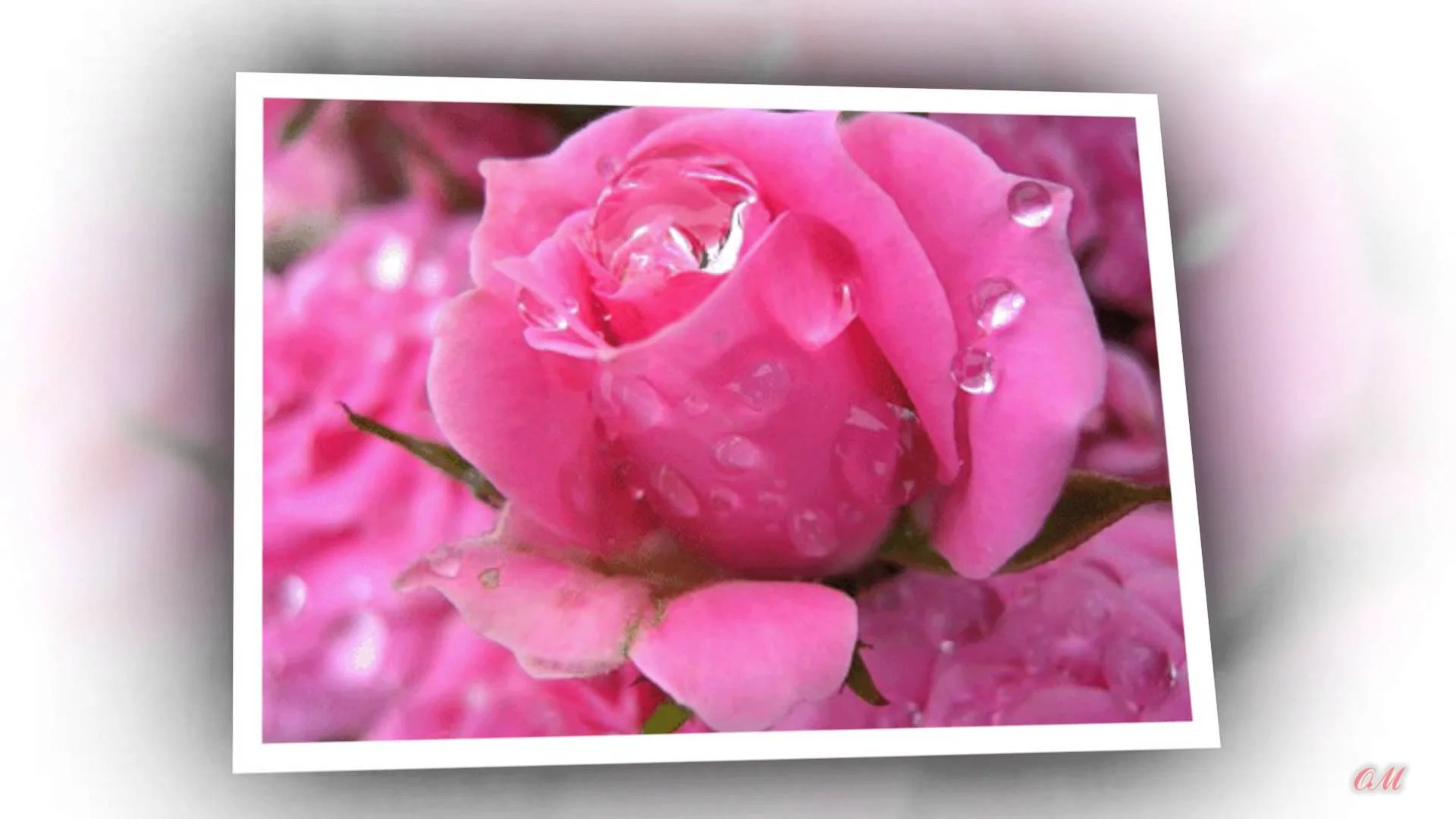 maxresdefault (1).webp