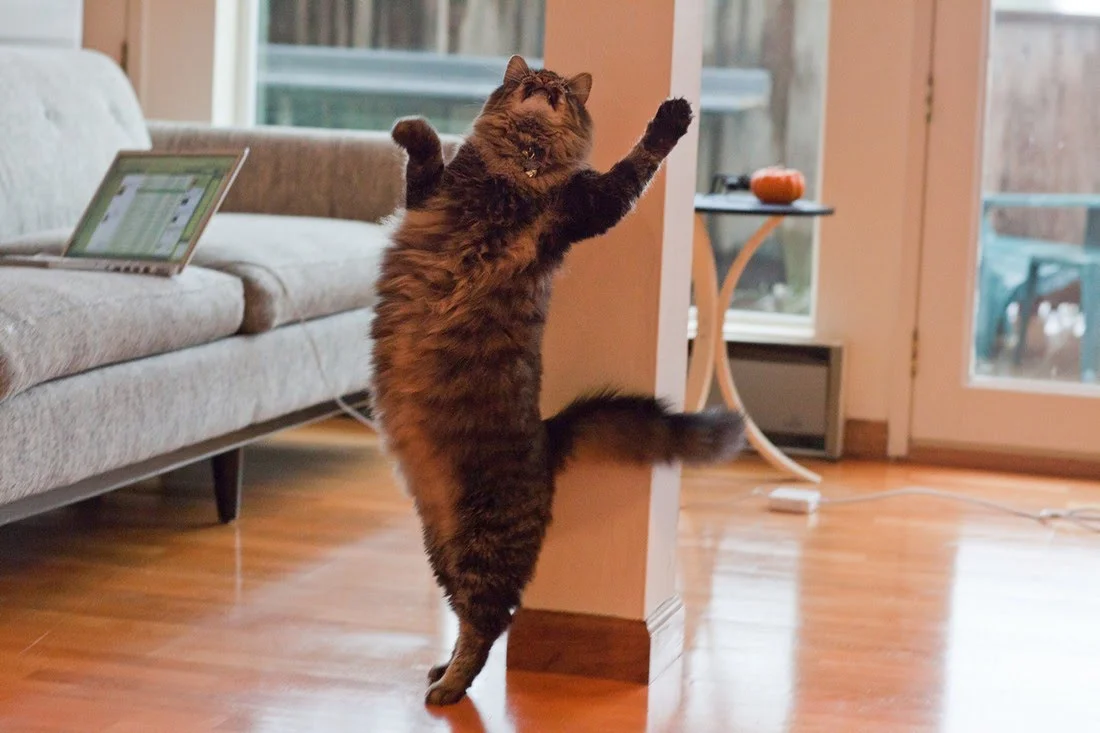 maxresdefault (1).webp