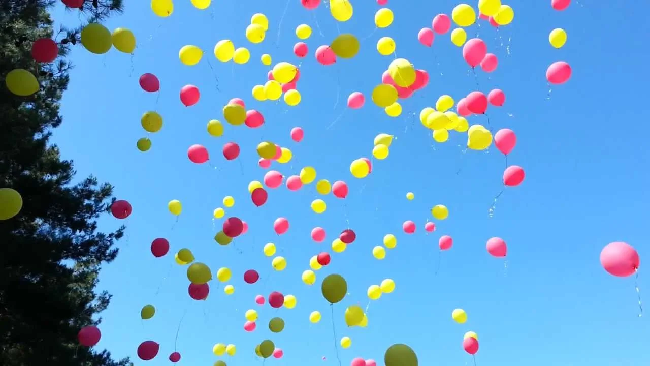 maxresdefault (1).webp