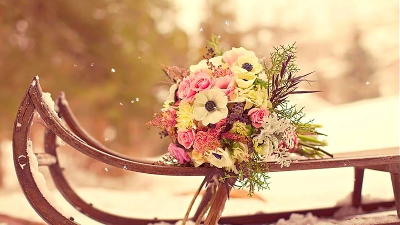 maxresdefault (1).webp