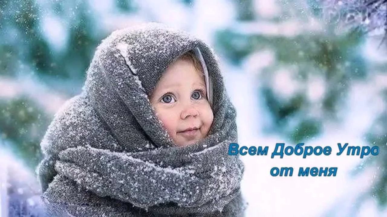 maxresdefault (10).webp