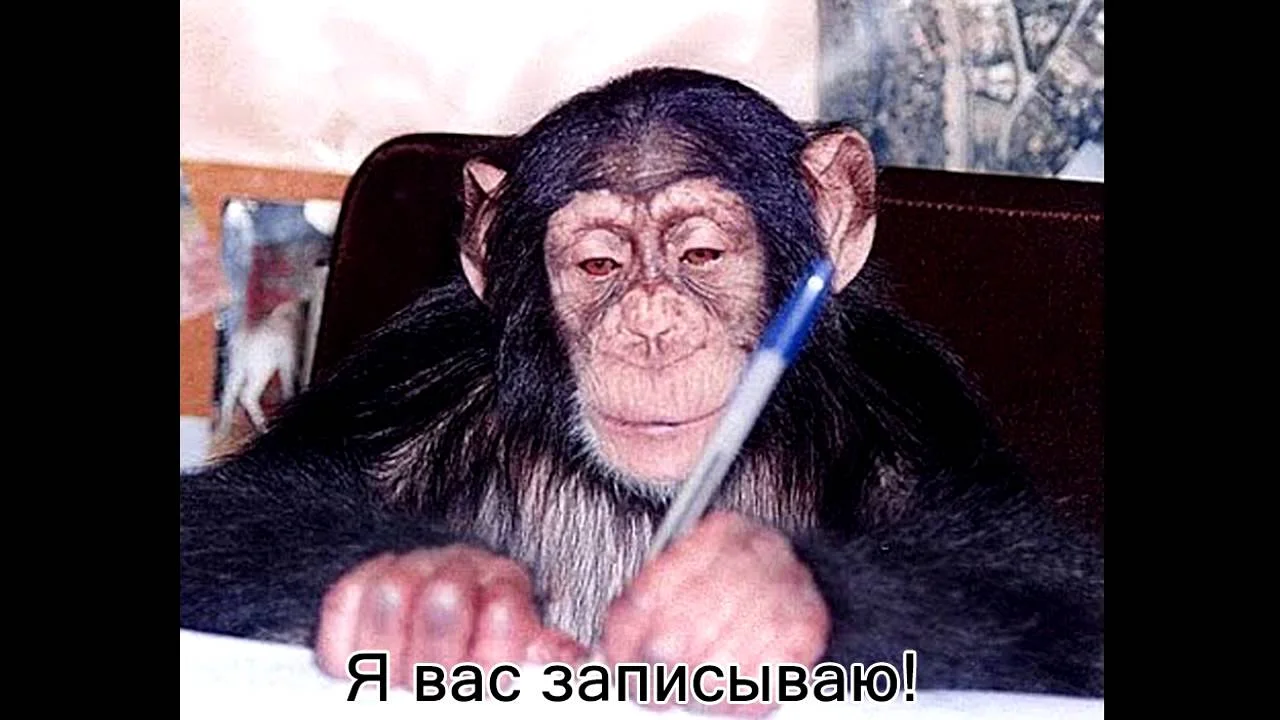 maxresdefault (2).webp