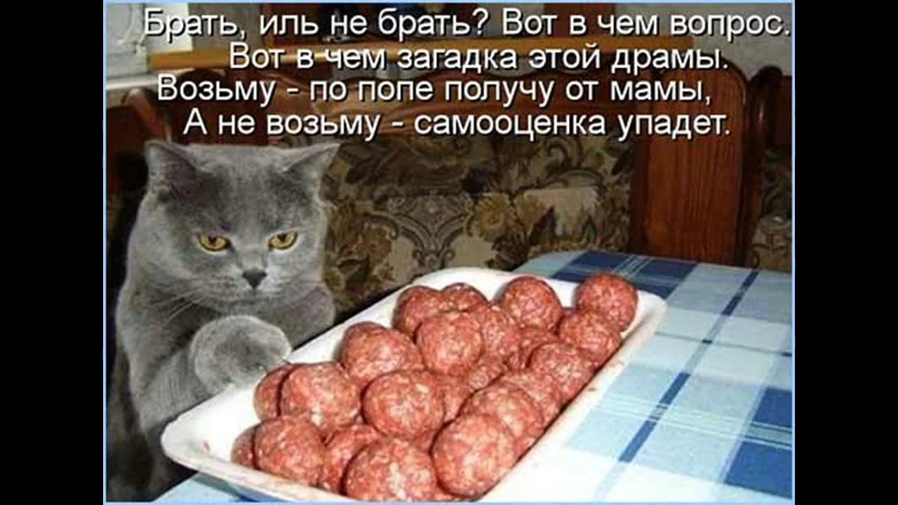 maxresdefault (2).webp