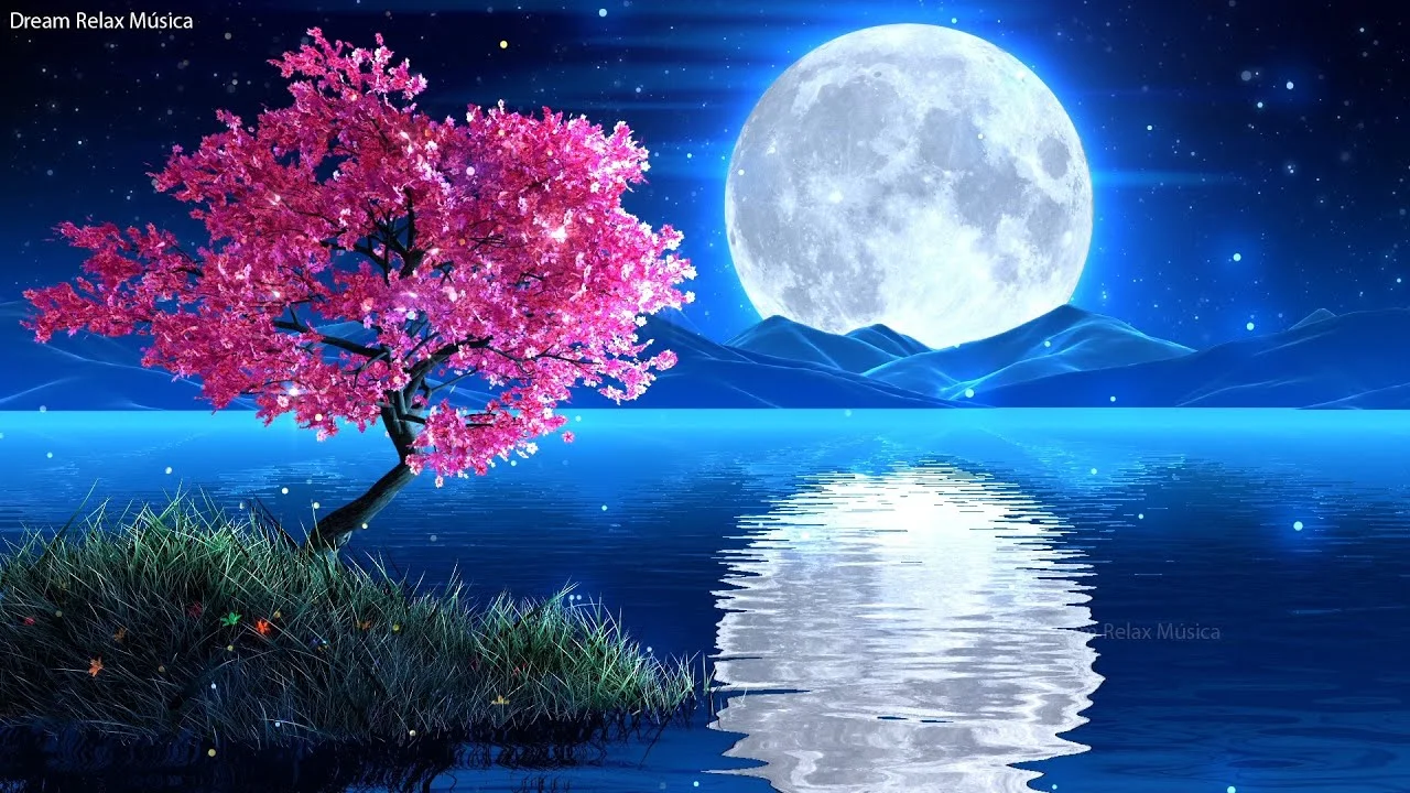 maxresdefault (2).webp