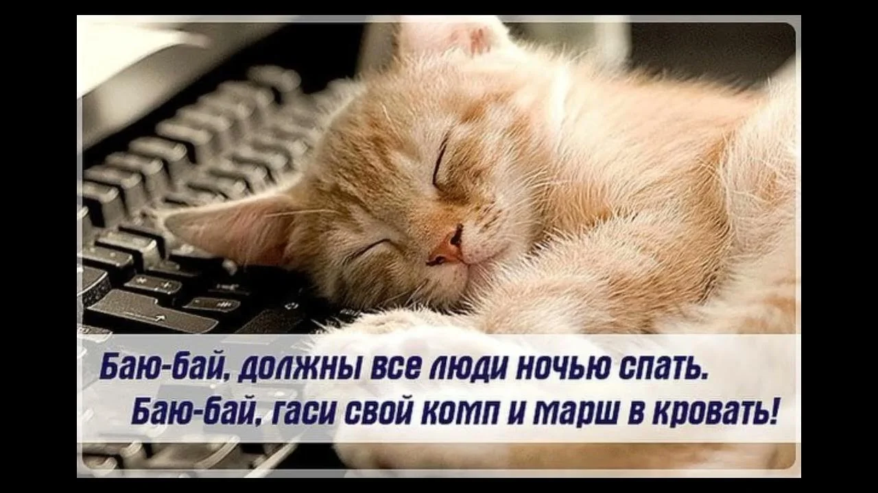 maxresdefault (2).webp